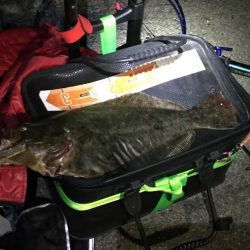 サビキでヒラメ